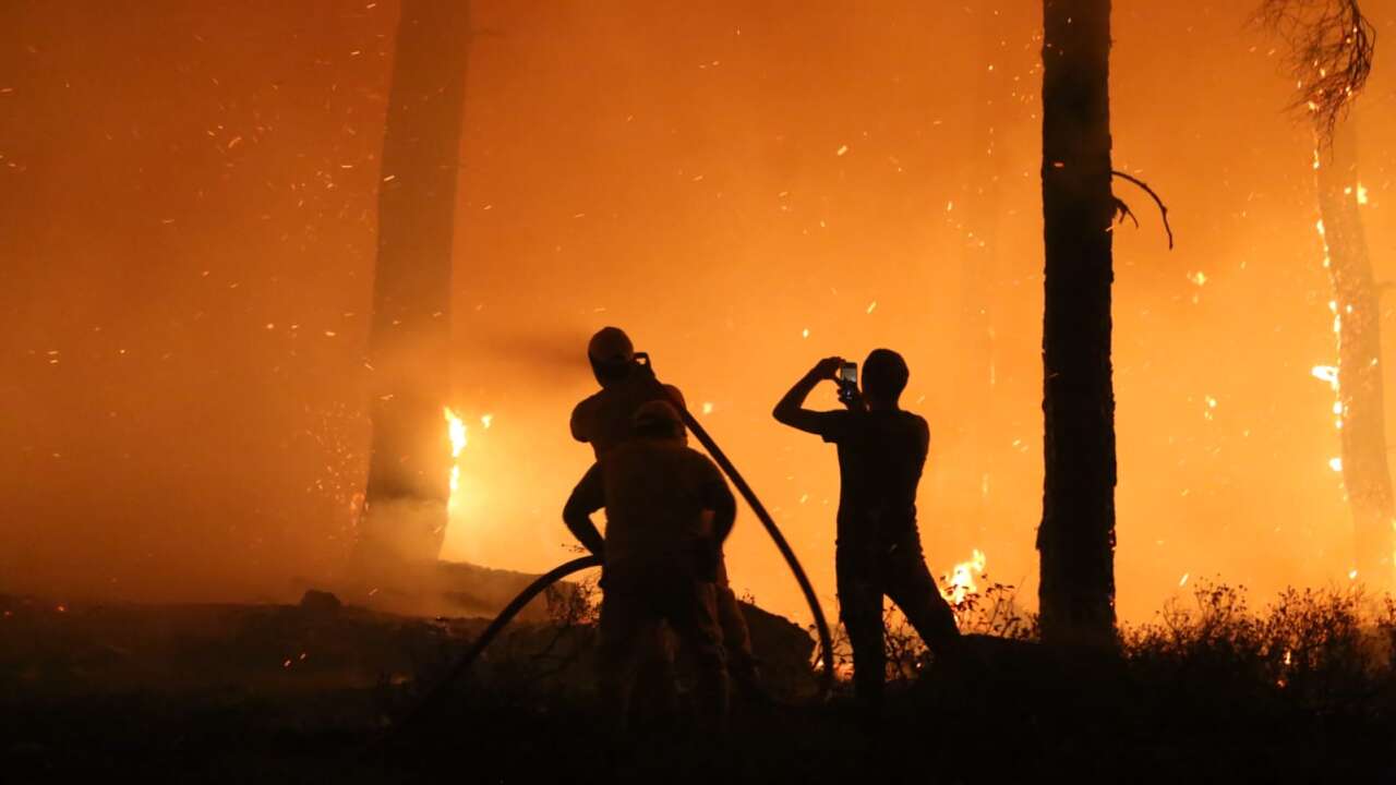 Muğla’da Orman Yangınlarının Acı Tablosu: 3 Yılda Yaklaşık 6 Bin Hektar Alan Kül Oldu 13